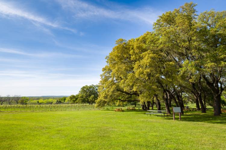 Fredericksburg TX Weather Forecast Fredericksburg Escapes